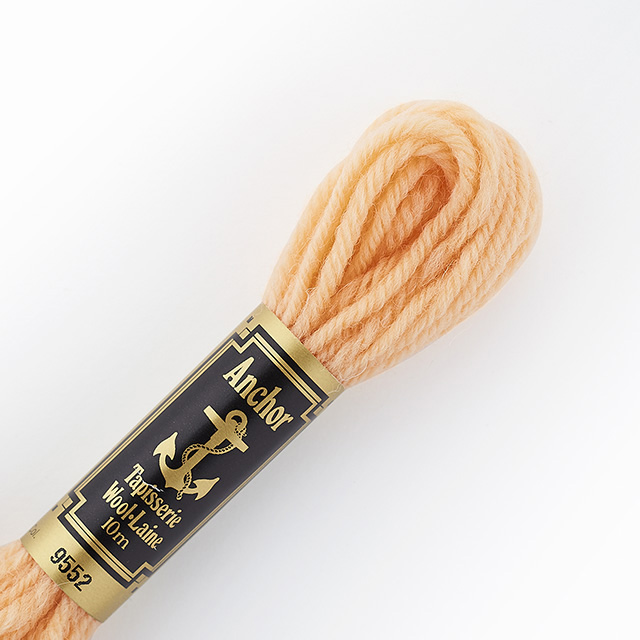 刺しゅう材料 Anchor-アンカー- タピセリーウール/ウール刺繍糸（342301） 色番9552 (H)_5a_