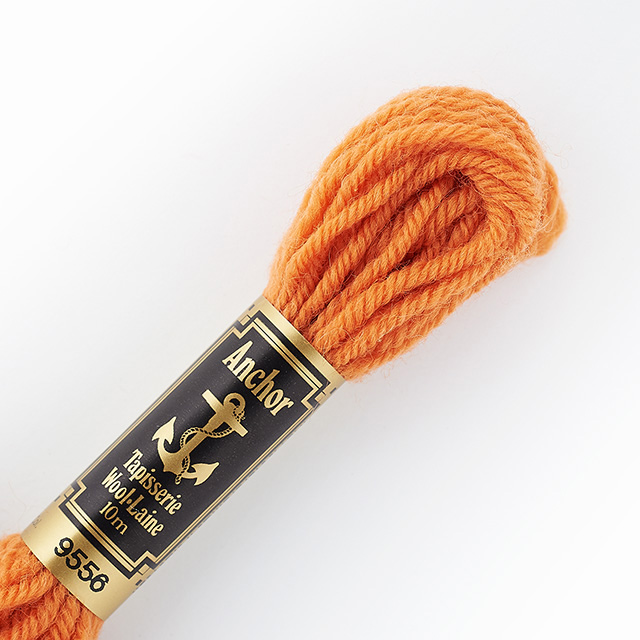 刺しゅう材料 Anchor-アンカー- タピセリーウール/ウール刺繍糸（342301） 色番9556 (H)_5a_