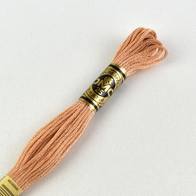 刺しゅう材料 DMC 刺繍糸 25番 色番3771 (H)_5a_