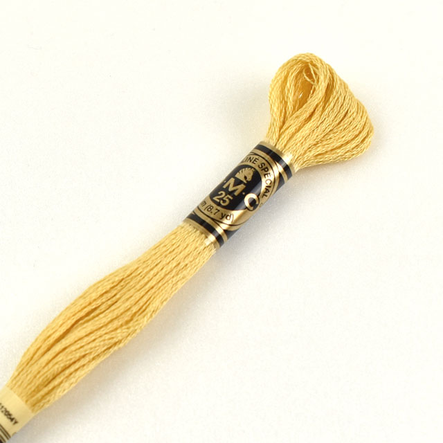 刺しゅう材料 DMC 刺繍糸 25番 色番3822 06Bg99_