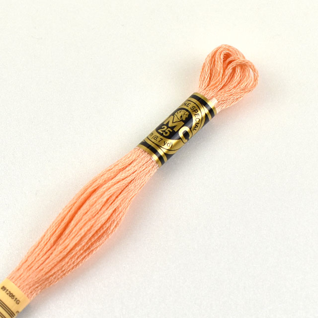 刺しゅう材料 DMC 刺繍糸 25番 色番3824 (H)_5a_
