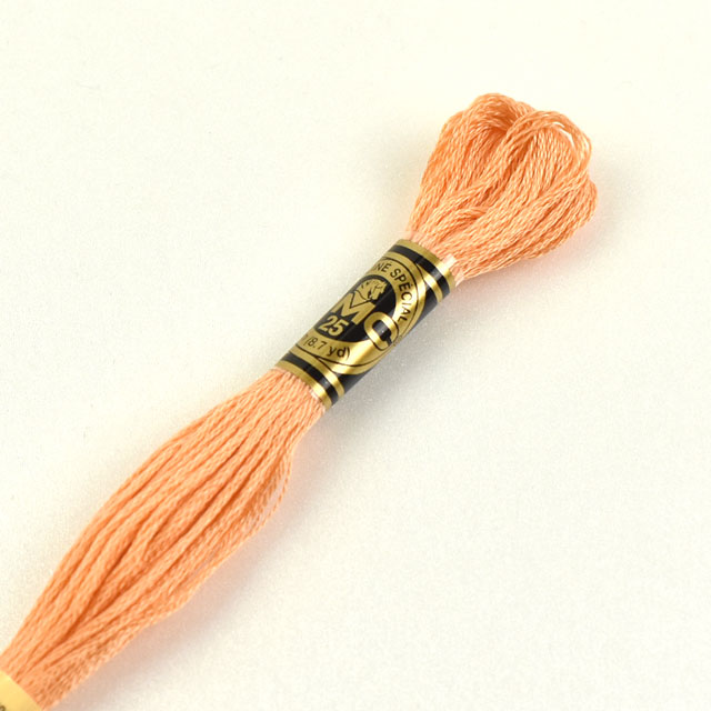 刺しゅう材料 DMC 刺繍糸 25番 色番3825 (H)_5a_