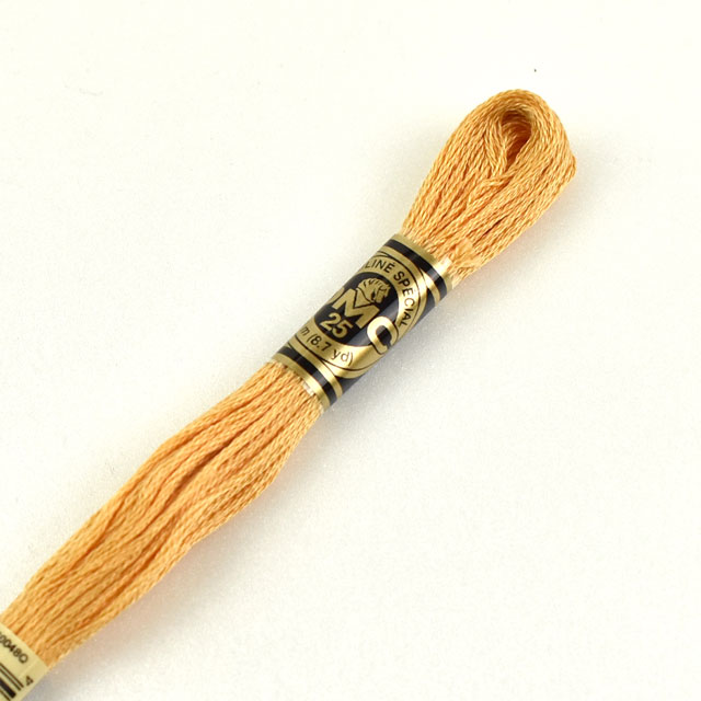 刺しゅう材料 DMC 刺繍糸 25番 色番3827 (H)_5a_