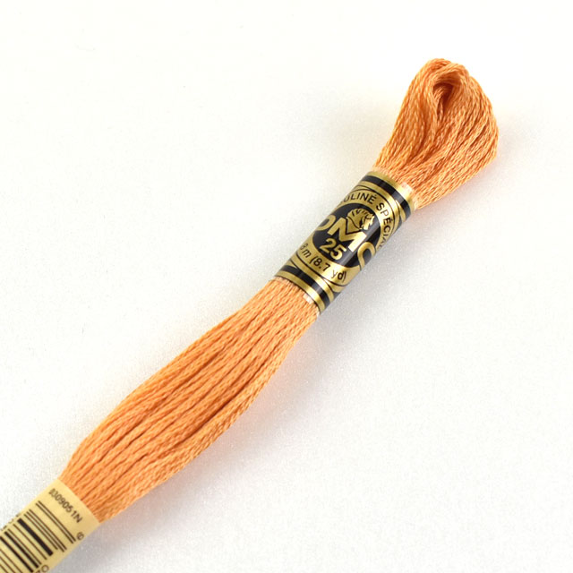 刺しゅう材料 DMC 刺繍糸 25番 色番3854 (H)_5a_