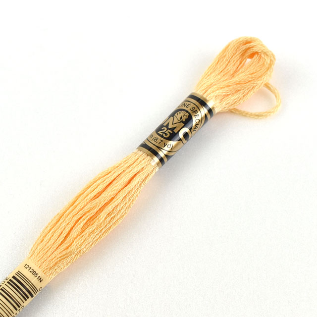 刺しゅう材料 DMC 刺繍糸 25番 色番3855 (H)_5a_
