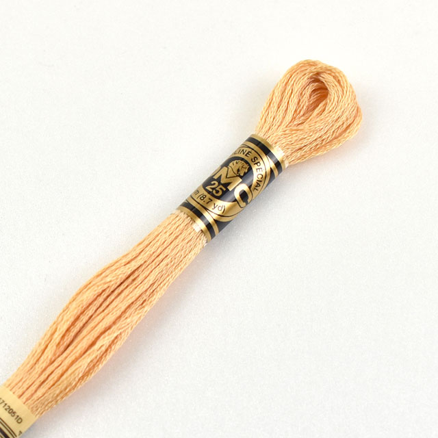刺しゅう材料 DMC 刺繍糸 25番 色番3856 06Bg99_