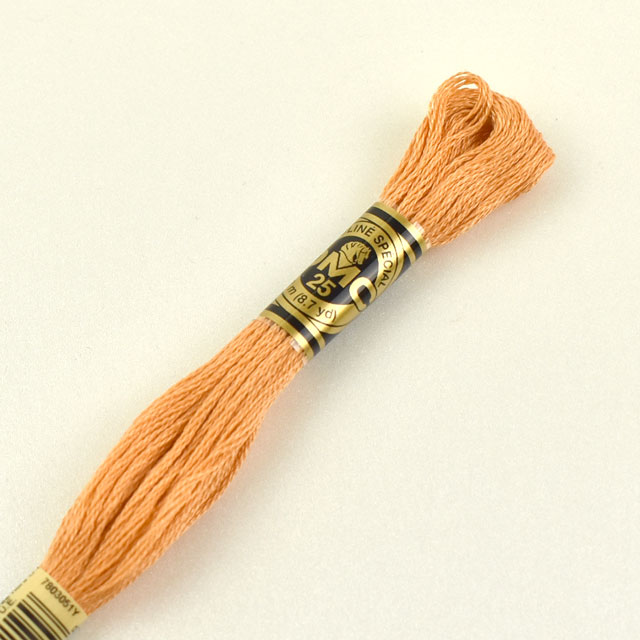 刺しゅう材料 DMC 刺繍糸 25番 色番402 (H)_5a_