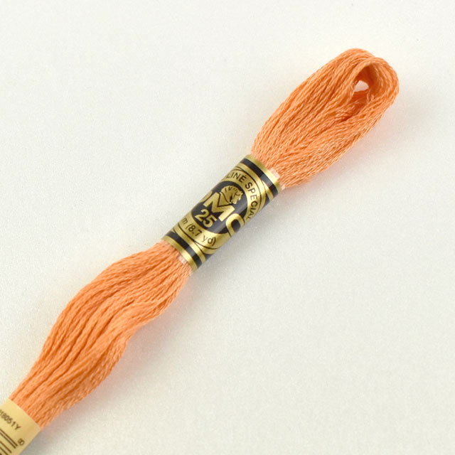 刺しゅう材料 DMC 刺繍糸 25番 色番722 (H)_5a_