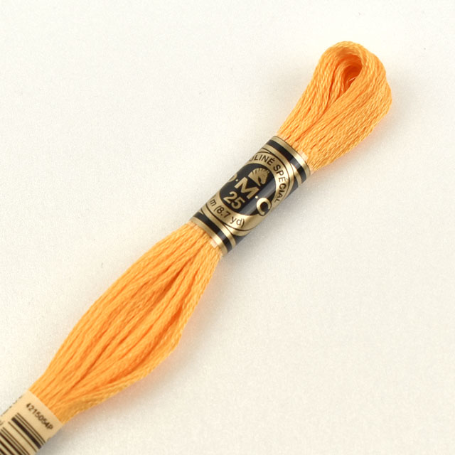 刺しゅう材料 DMC 刺繍糸 25番 色番742 (H)_5a_