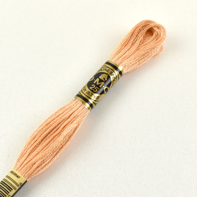 刺しゅう材料 DMC 刺繍糸 25番 色番754 (H)_5a_