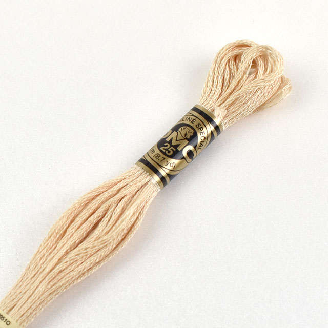 刺しゅう材料 DMC 刺繍糸 25番 色番945 (H)_5a_