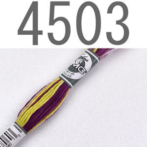 4503