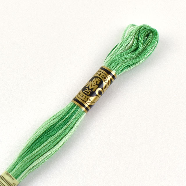 刺しゅう材料 DMC 刺繍糸 25番 グラデーション 色番125 (H)_5a_