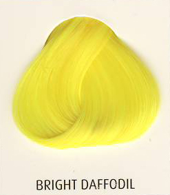 BRIGHT DAFFODIL