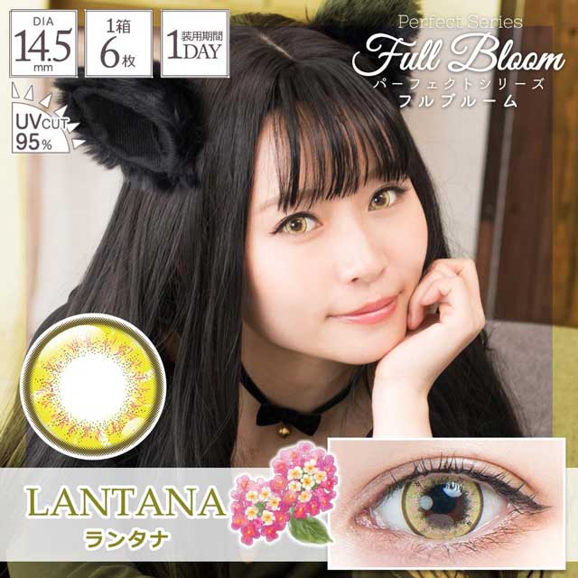 ランタナ