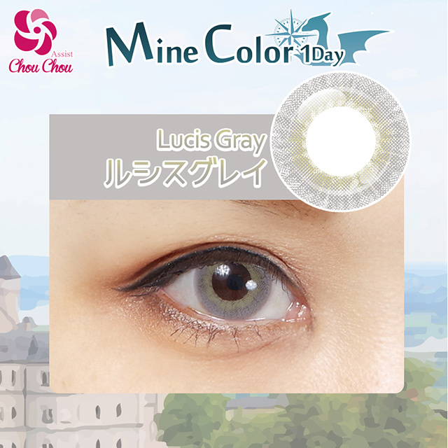 アシストシュシュ Mine Color 1Day マインカラーワンデー（23502） ルシスグレイ 度あり -6.00 (H)_1a_