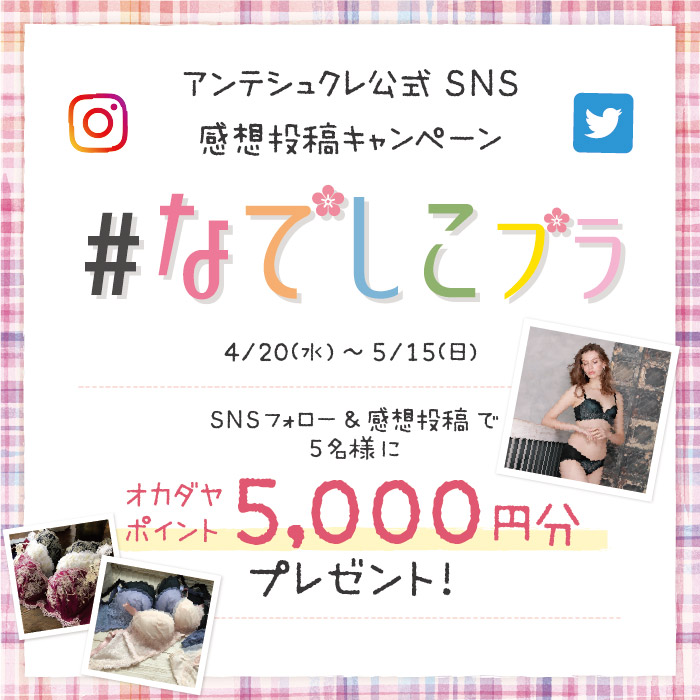 抽選で5,000ポイントが当たる！公式SNS「#なでしこブラ」感想投稿キャンペーン