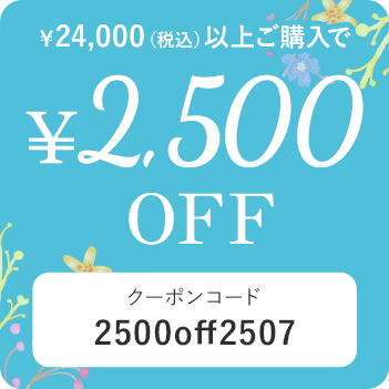 税込24,000円以上の購入で2,500円OFF