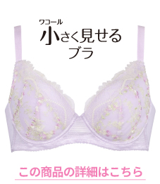 ワコール商品詳細へ