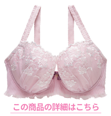 ナルエー商品詳細へ
