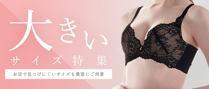 大きいサイズ特集へ