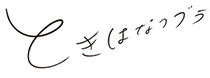 きれいのブラ ときはなつブラ