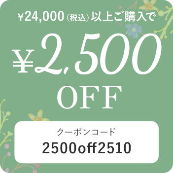 税込24,000円以上の購入で2,500円OFF