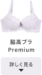 ナイス谷間ブラ