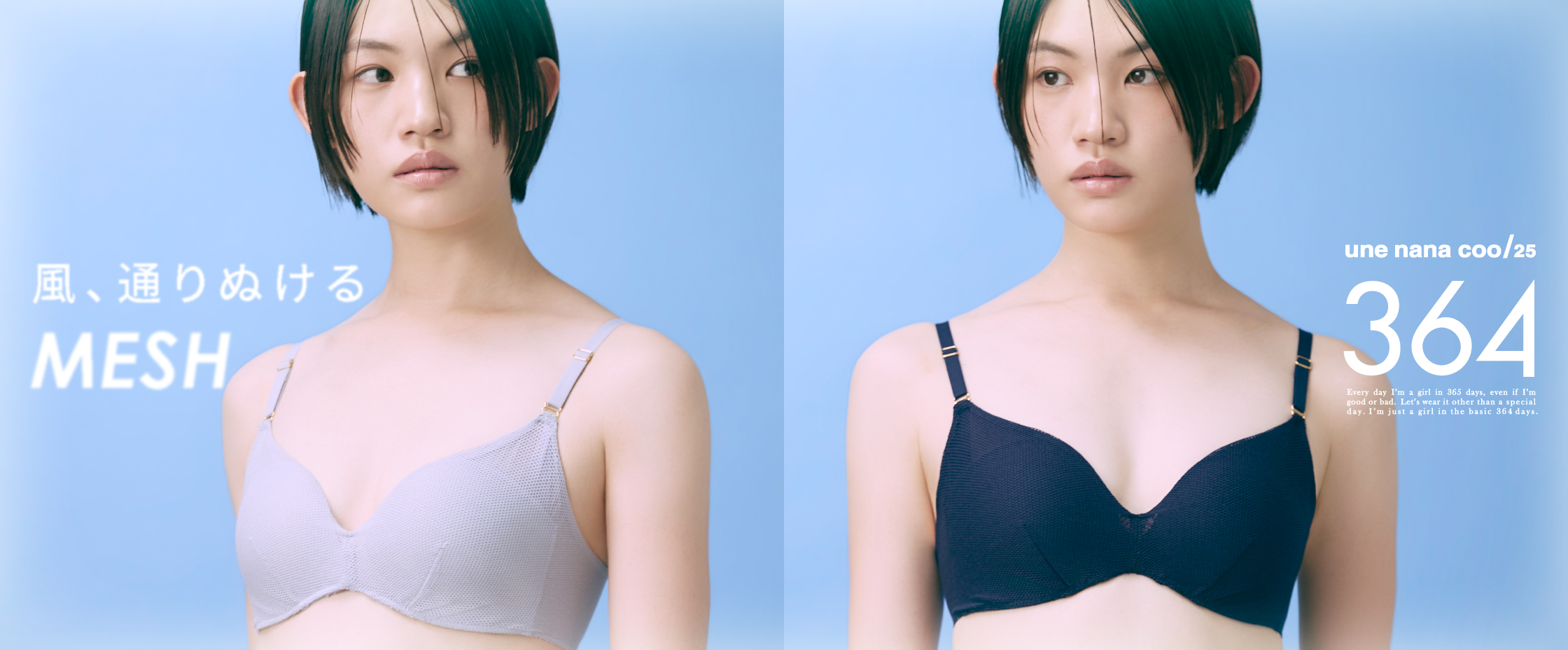 364メッシュ