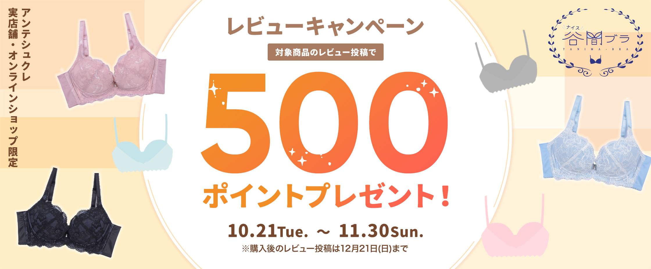 レビューキャンペーン