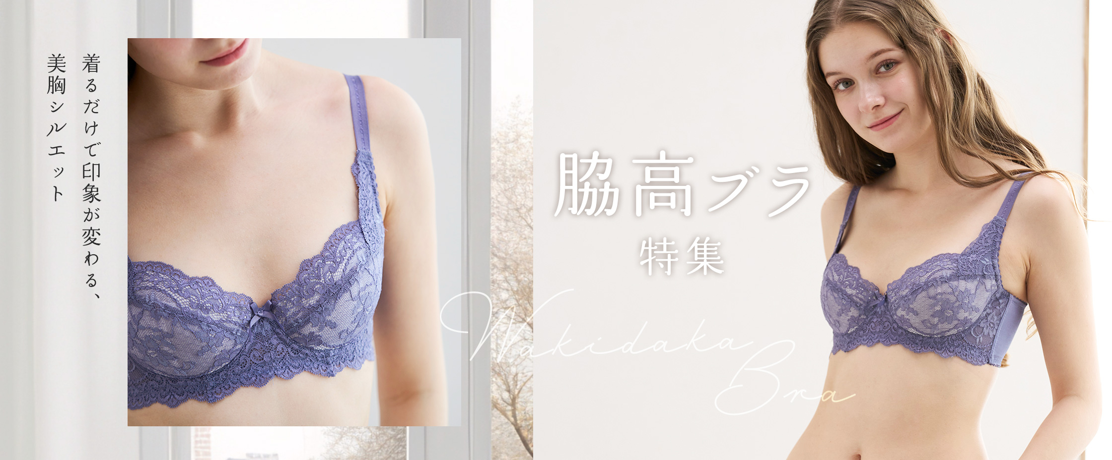 脇高ブラ特集